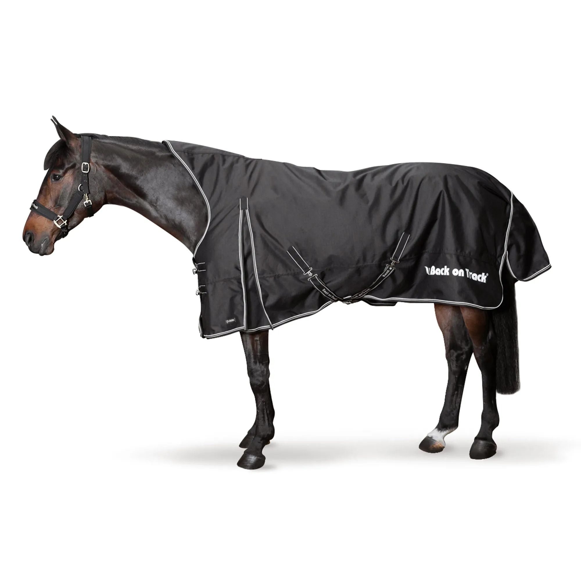 Brianna Horse Turnout Sheet