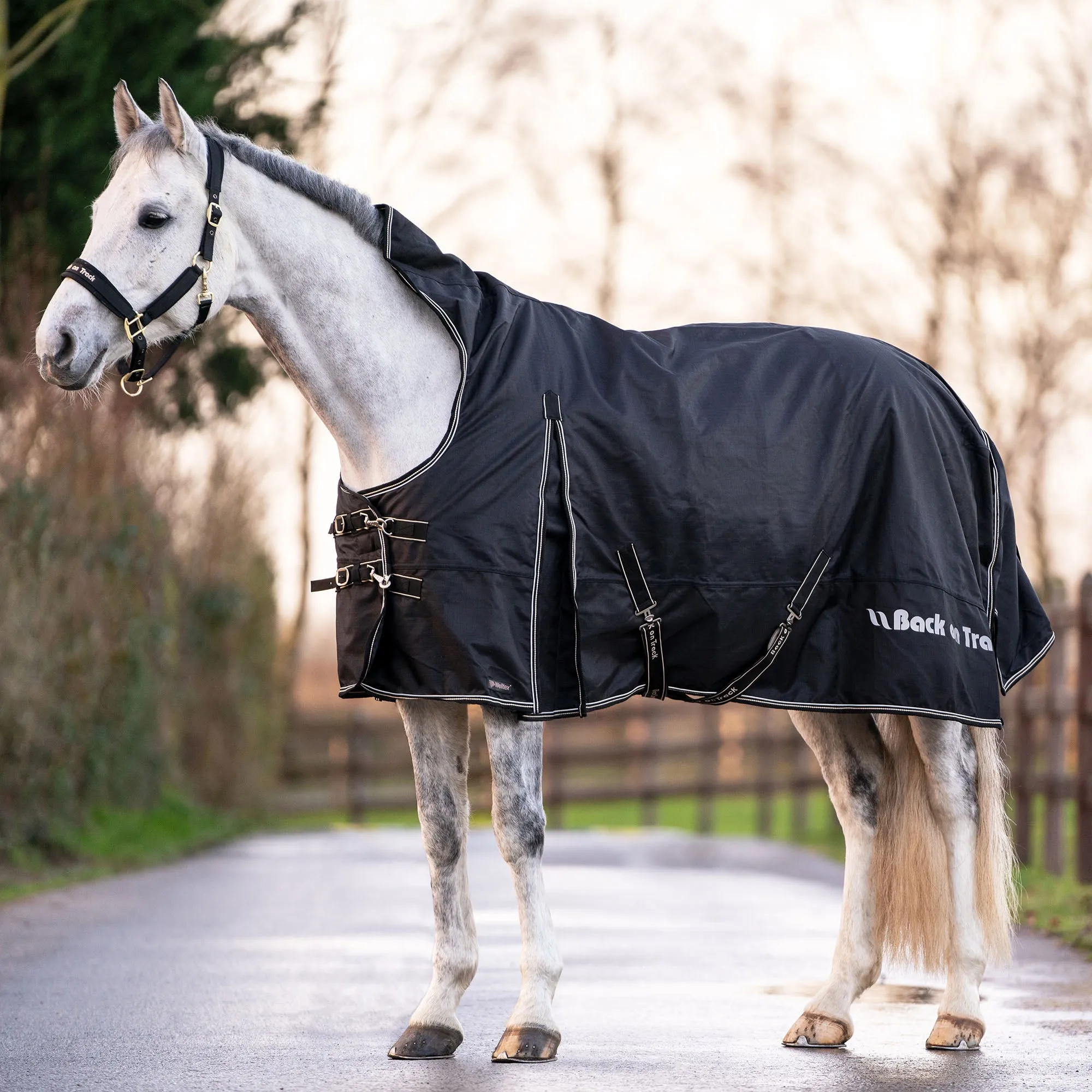 Brianna Horse Turnout Sheet